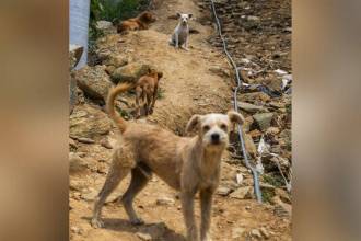 Tomar precauciones es clave. FOTO: JULIO CÉSAR HERRERA