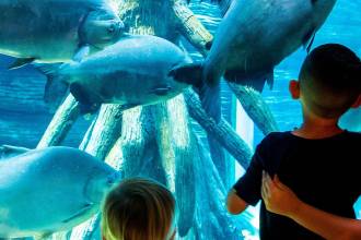 El parque explora es uno de los planes preferidos por la gente. FOTO: EL COLOMBIANO