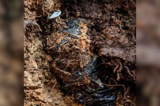 Un campesino de 54 años que perdió su pierna izquierda después de activar una mina antipersona. /FOTO: JULIO CÉSAR HERRERA ECHAVERRI