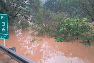 /FOTO: TOMADA DE X @JRoldanj