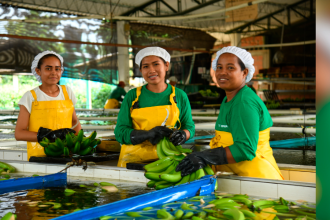 Las empresas bananeras se han encargado de fortalecer la región por medio del empleo, la paz y la inversión social. Más de 60 años de trabajo en armonía y en equipo de un gremio, agrupado alrededor de Augura, la Asociación de Bananeros de Colombia, para consolidar el sector como un agente de cambio y transformación del territorio que les permita a sus habitantes vivir en condiciones dignas y en paz.
