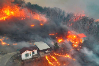 Las autoridades realizan evacuaciones masivas tras los fuertes incendios forestales en Corea del Sur. /FOTO: X @InformaESV