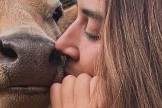 El santuario, ubicado en Fredonia, rescata animales con el rótulo de ‘inadoptables’. FOTO: CORTESÍA