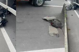 Accidente en la autopista Sur. FOTO: CHISME FRESCO MEDELLÍN