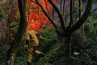 Imagen para ilustrar la nota. FOTO: ALCALDÍA DE ITAGÜÍ