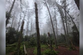 Reserva San Sebastián de la Castellana, entre los municipios de Envigado y El Retiro. FOTO: CORTESÍA