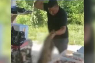 El hombre fue grabado azotando contra el piso al animal. FOTO: TOMADA DE VIDEO