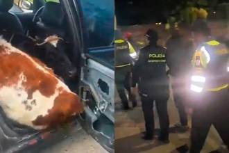 Ocurrió en las vías de Boyacá. FOTO: CAPTURAS DE VIDEO