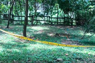 Imagen de referencia para ilustrar la nota. FOTO: ARCHIVO - LAURA ROSA JIMÉNEZ 