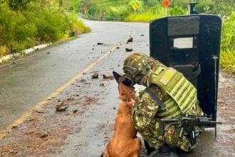 Los perros entrenados ayudaron a revisar la zona y a descartar la presencia de otros elementos peligrosos. FOTO: COLPRENSA