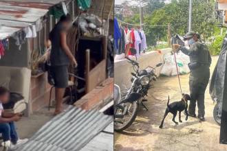 Perro rescatado tras golpiza en Itagüí. FOTO: REDES SOCIALES