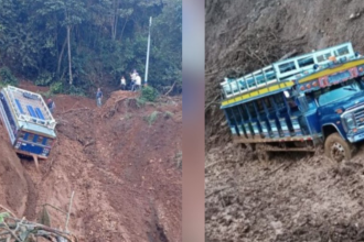 Chiva cayó a un abismo en zona rural de Concordia, Suroeste antioqueño. /FOTOS: CORTESÍA