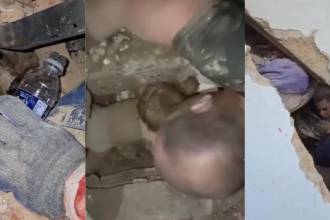 Imágenes de los diferentes rescates en Venezuela tras el terremoto. FOTO: REDES SOCIALES