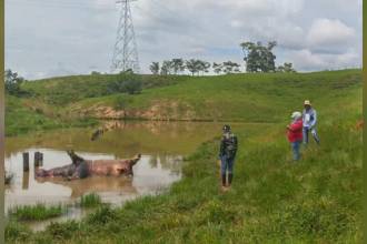 FOTO: CORTESÍA CORNARE