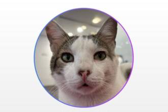 Hizo parte de la Facultad de Ciencias de la Siesta y el Ronroneo. FOTO: REDES SOCIALES UPB COLOMBIA