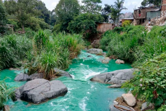 /FOTO: DENUNCIAS ANTIOQUIA 