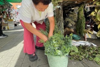 Venta de ruda en el Centro de Medellín./ FOTO: JAIDER ESCOBAR
