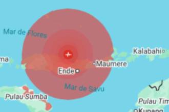 Terremoto en Indonesia. FOTO: GOOGLE 