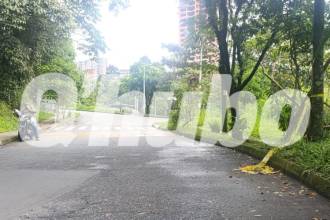 La víctima fue interceptada en esta solitaria calle. FOTO: ALEJANDRA MORALES RÍOS