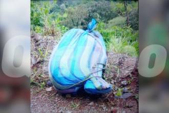 El hecho ocurrió en vía del corregimiento de San Pablo en Támesis. FOTO: CORTESÍA NOTICIAS SUROESTE