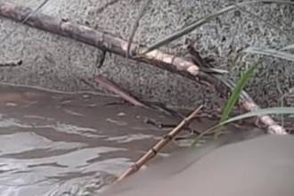 Sitio donde se encontró el cuerpo. FOTO: TOMADO DE CONEXIÓN SUR