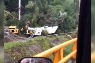 Por las fuertes lluvias, los árboles se desplomaron. FOTO: CAPTURA DE VIDEO IG @guardianesantioquiaoficial