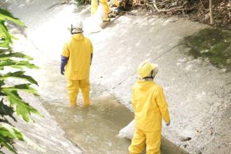 Las personas que estuvieron privadas de la libertad y que ahora hacen parte de estos proyectos estarán trabajando como promotores ambientales y guardianes del cauce. FOTO: ALCALDÍA DE MEDELLÍN