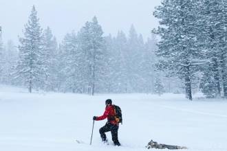 Sierra Nevada de California, lugar donde ocurrió la tragedia. FOTO: GETTY IMAGES