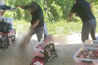 ¡Descarado! Buscan a hombre que agredió brutalmente a un perro