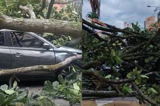La movilidad tuvo que ser cerrada por varias horas. FOTO: CORTESÍA, DIEGO GARCÉS.