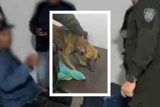 El hombre llegó con el perro, quien se mostraba intimidado. /FOTOS: POLICÍA ANTIOQUIA