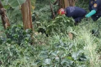 Hallazgo y levantamiento del cuerpo descompuesto en zona rural de Andes. FOTO: TOMADA DE CONEXIÓN SUR