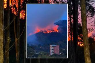 Las llamas consumieron 10 hectáreas de bosque. FOTO: ENFOQUE CINCO