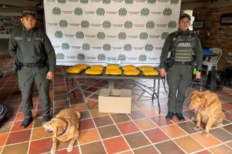 Los animales, especialistas en detección de sustancias ilícitas, ubicaron las cajas en que enviaron la droga desde Pasto. FOTO: POLICÍA METROPOLITANA