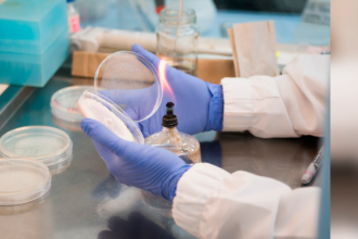 Un banano que se apoya de la ciencia para ser más competitivo