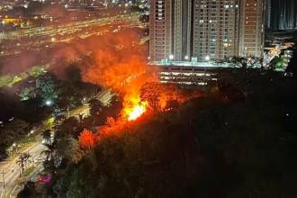Incendio forestal en Bello. FOTO: ALCALDÍA DE BELLO