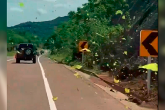 /FOTO: TOMADA DE VIDEO