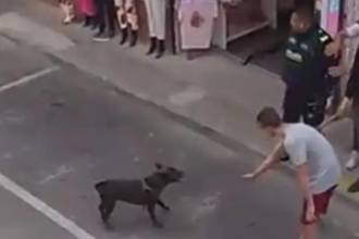 El canino se mostró inquieto al ver la aglomeración de personas y que su dueño estaba siendo acorralado por los policías. FOTO: TOMADA DE VIDEO 