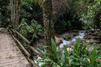 Un susto se llevaron ocho senderistas que este martes terminaron perdidos en el Alto del Romeral. FOTO: EDWIN BUSTAMANTE RESTREPO - ARCHIVO