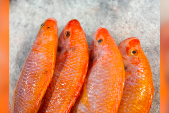 /FOTOS: SECRETARÍA DE SALUD DE MEDELLÍN