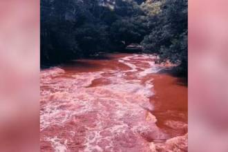 Así se veían las aguas a la altura de La Pradera y Porce, según los videos difundidos. /FOTO: CAPTURA DE VIDEO DENUNCIAS ANTIOQUIA