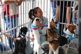 Jornada histórica de Adoptatón en Medellín. FOTO: ALCALDÍA DE MEDELLÍN 
