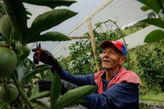 Campesinos, a registrar la hoja de vida para ser instructores del Sena