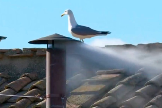 /FOTO: REDES SOCIALES