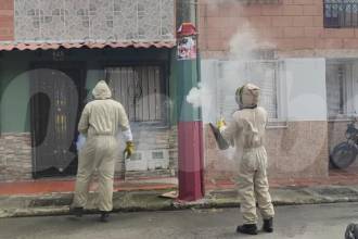 Panal de abejas en poste generó alarma. FOTO: ANDRÉS GARCÍA