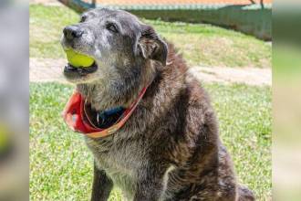 Guarne despidió a Roger. FOTO: INSTAGRAM - INDERGUARNE