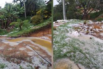 Así se vieron afectados los terrenos y cultivos en zona rural de Guarne por la fuerte granizada. /FOTOS: ALCALDÍA DE GUARNE