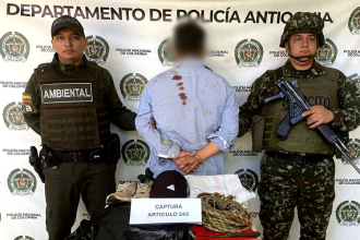 Captura abigeato. /FOTO: POLICÍA ANTIOQUIA