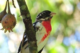 Las reservas San Miguel y Volcana Miserenga, los cerros El Volador, Nutibara y El Picacho serán escenarios de una programación que conecta biodiversidad, conocimiento científico y cultura. FOTO: ALCALDÍA DE MEDELLÍN