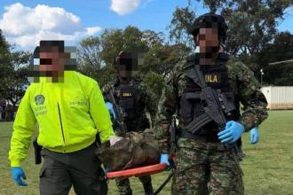Ejército dio de baja a alias Perjuicio, presunto jefe de sicarios del Clan del Golfo en el Suroeste. FOTO: EJÉRCITO NACIONAL